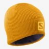 Salomon Logo Beanie (Autumn Blaze/Citrus) -FastStride Gear 18971DD3 061F 462F A3AB 283688CE3430
