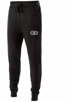 Women's 60/40 Fleece Jogger (Black/Metallic Silver)