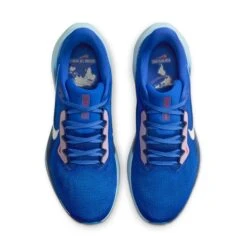 Nike Men's Pegasus 41 (400 - Race Blue/Sail-Blue Void-LT Photo Blue) -FastStride Gear AURORA HQ1717 400 PHCTH001 2000