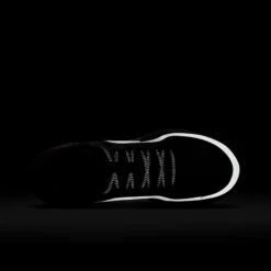 Nike Men's Pegasus Premium (003 - Black/Metallic Silver-Bright Crimson) -FastStride Gear AURORA HQ2592 003 PHSTH200 2000